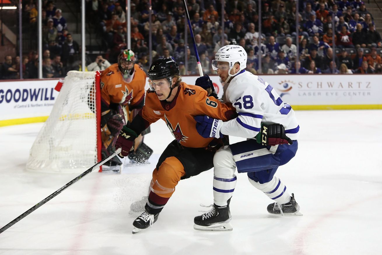 Toronto Maple Leafs v Arizona Coyotes