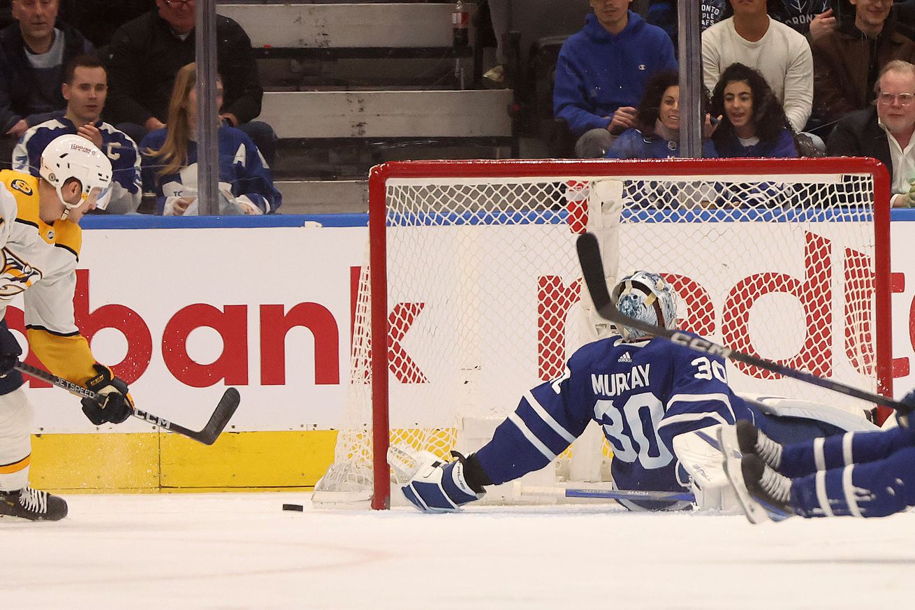 Toronto Maple Leafs play the Nashville Predators