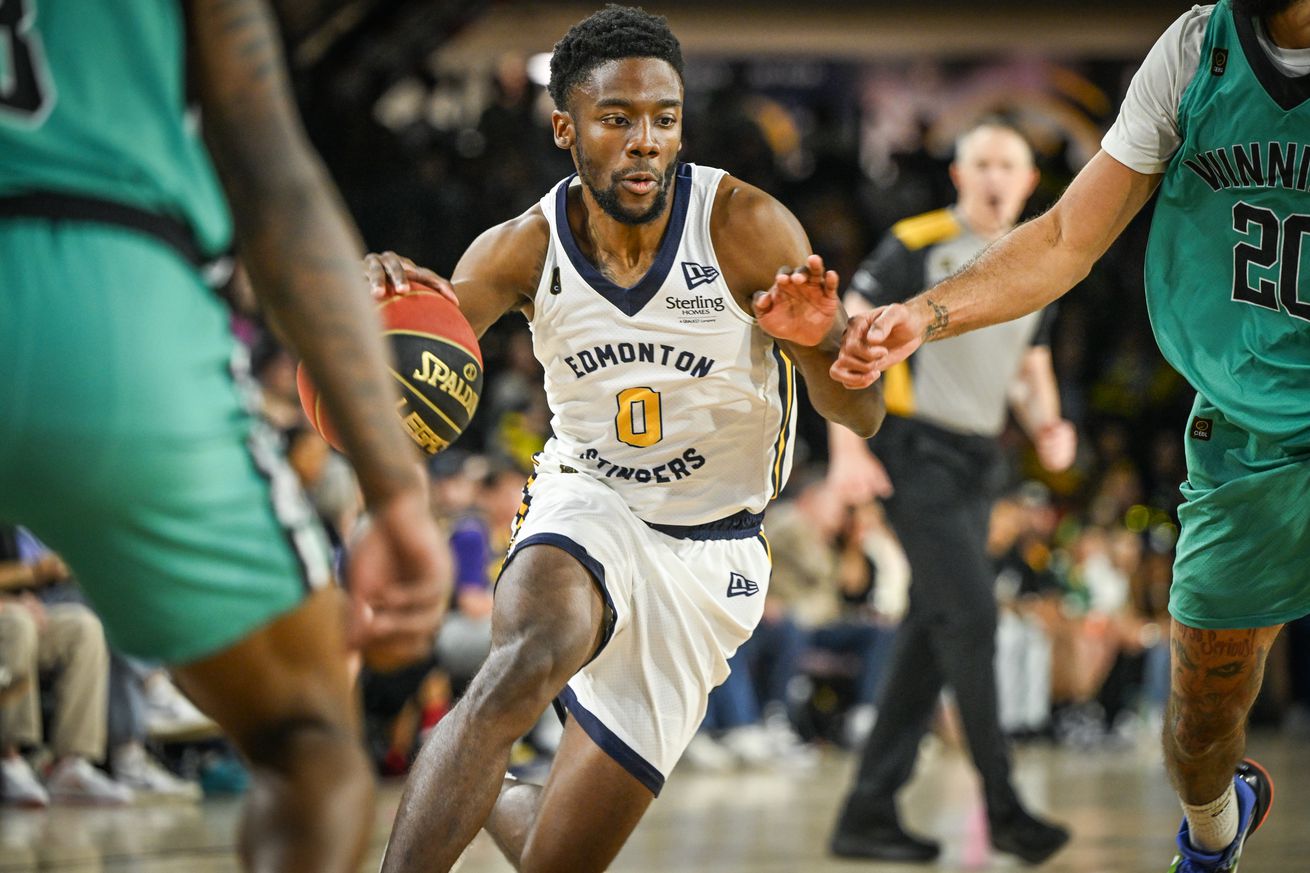 Stingers Top Sea Bears 9885 In Edmonton Home Victory